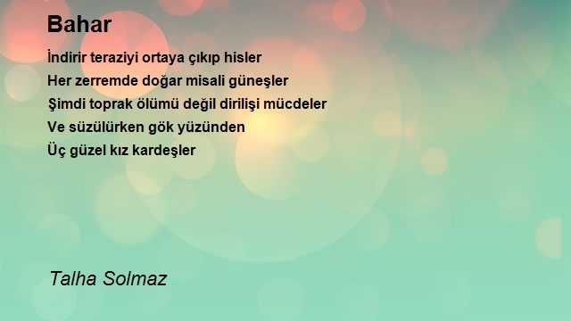 Talha Solmaz