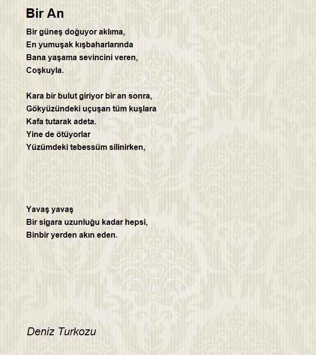 Deniz Turkozu