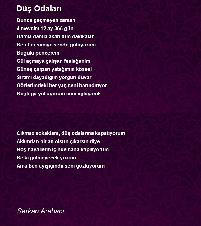 Serkan Arabacı