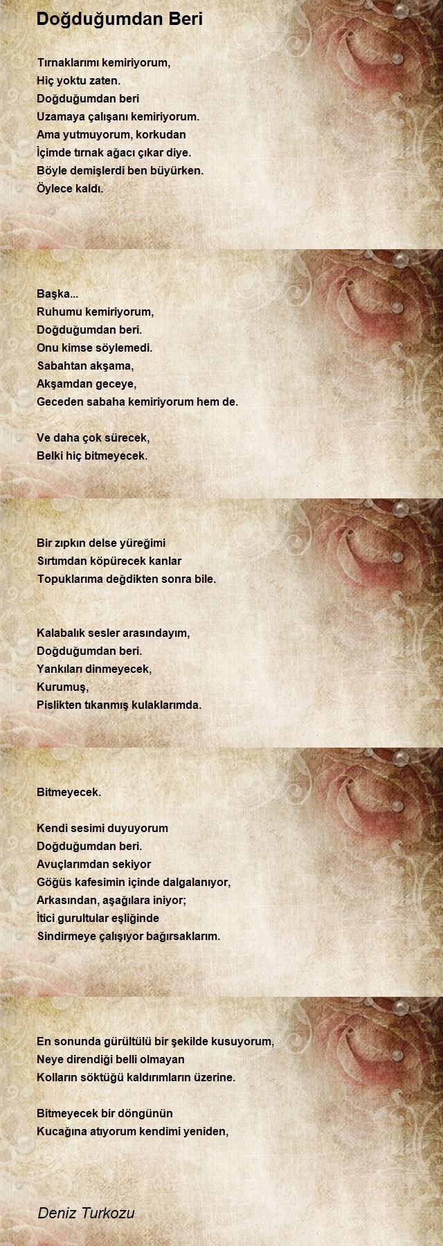 Deniz Turkozu