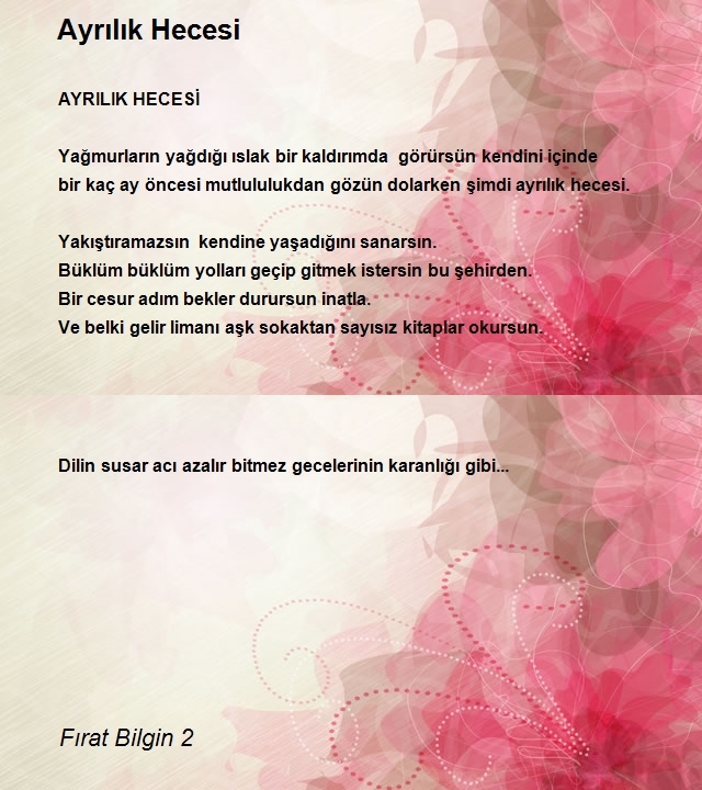Fırat Bilgin 2
