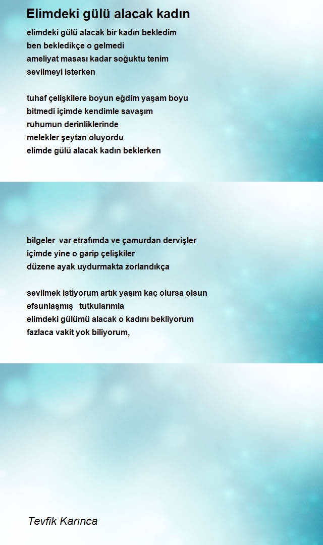 Tevfik Karınca