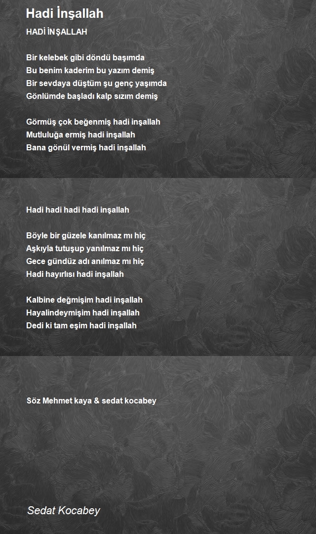 Sedat Kocabey