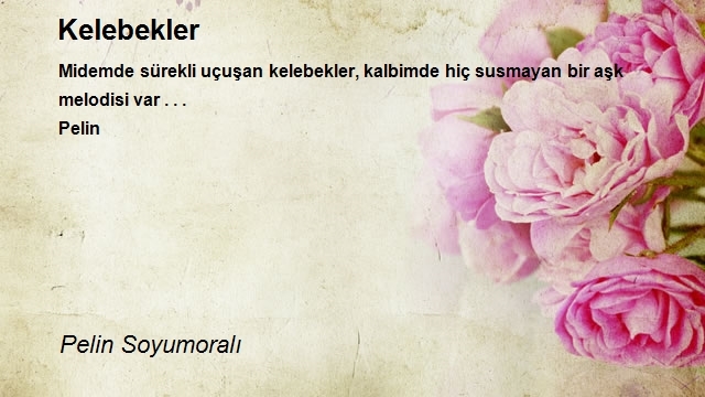 Pelin Soyumoralı