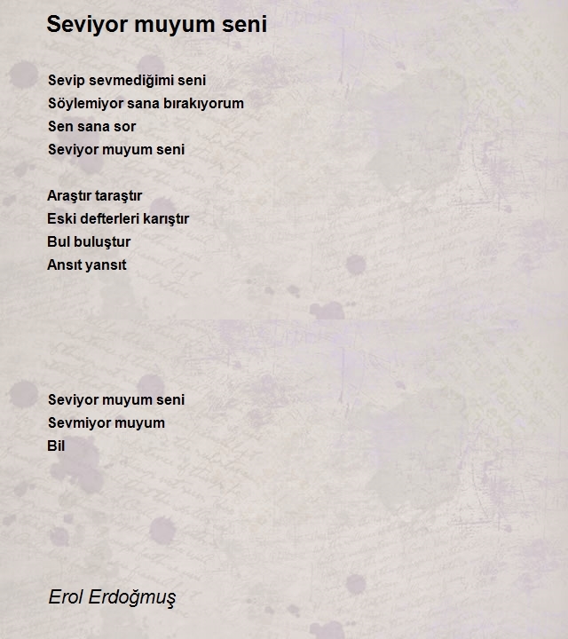 Erol Erdogmus 2