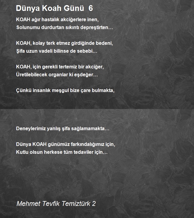 Mehmet Tevfik Temiztürk 2