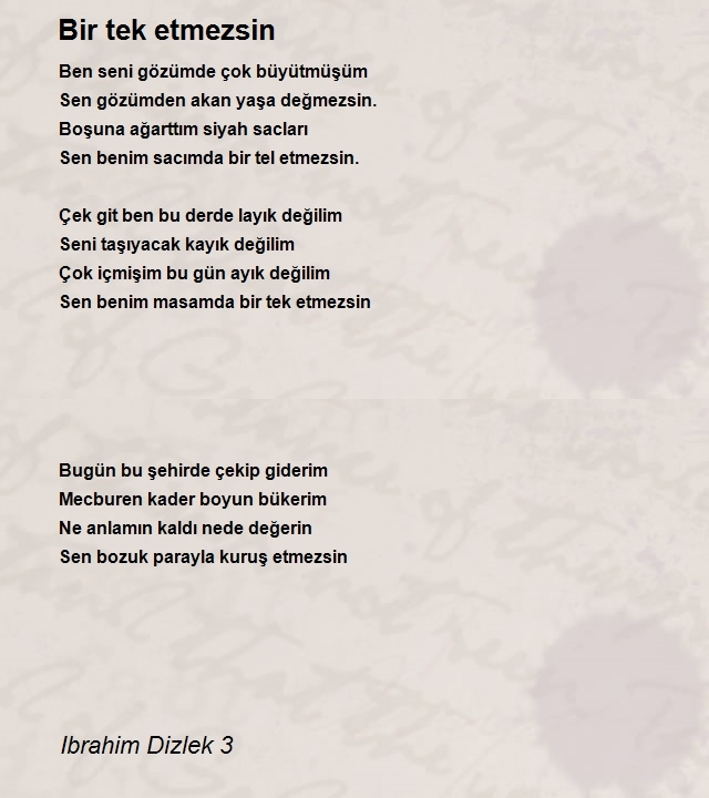 Ibrahim Dizlek 3