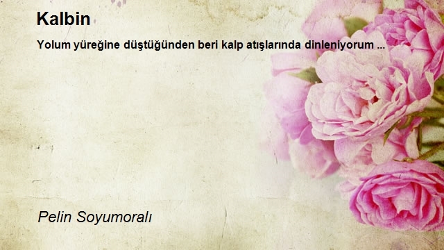 Pelin Soyumoralı