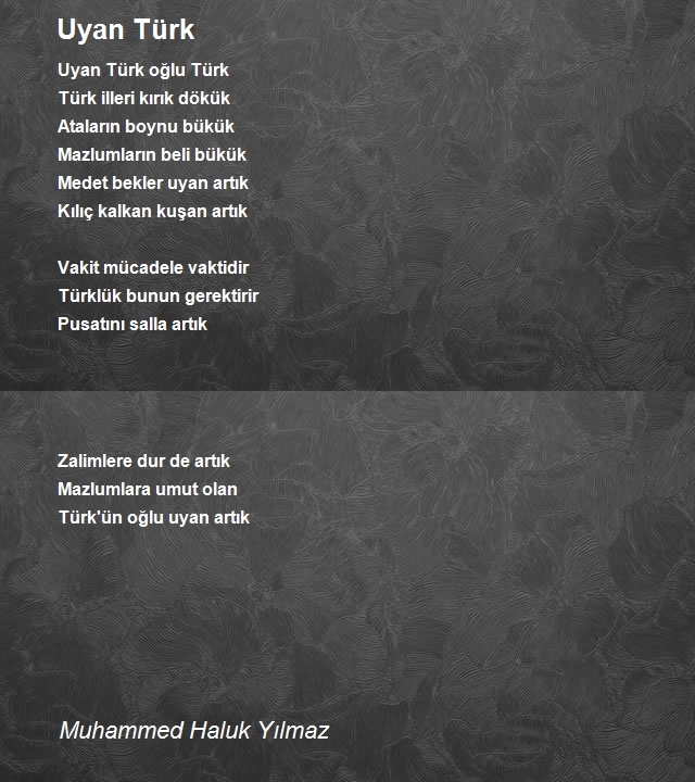 Muhammed Haluk Yılmaz