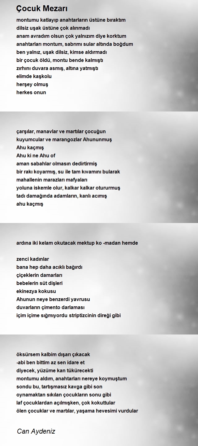 Can Aydeniz