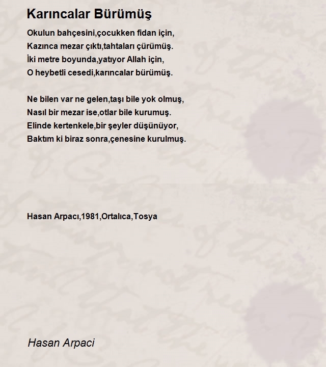 Hasan Arpaci