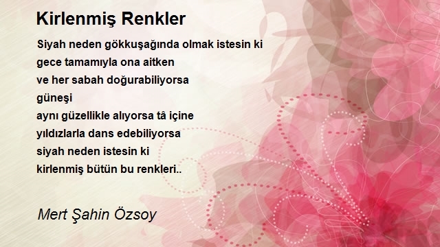 Mert Şahin Özsoy