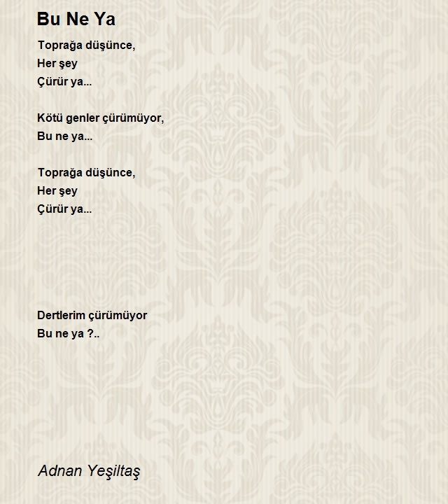 Adnan Yeşiltaş