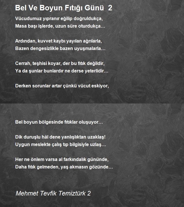 Mehmet Tevfik Temiztürk 2