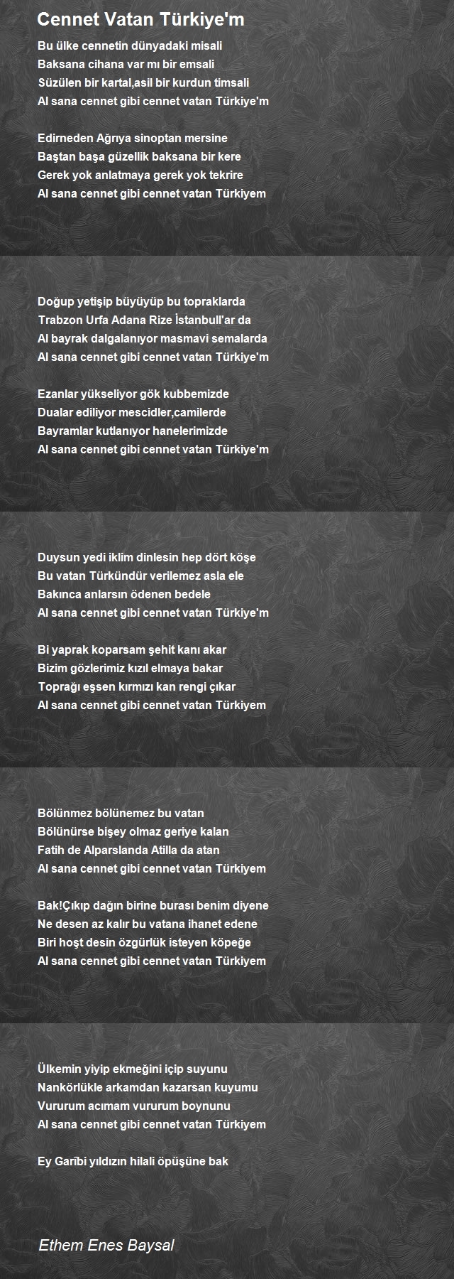 Ethem Enes Baysal