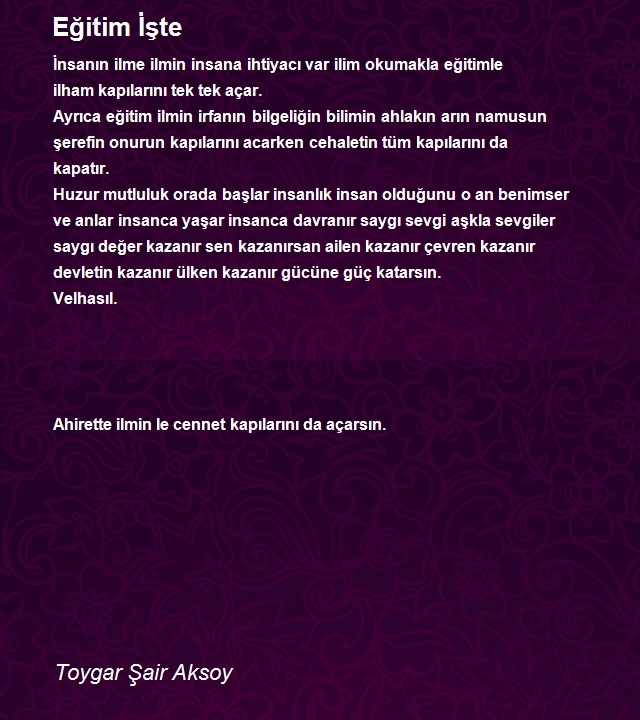Toygar Şair Aksoy