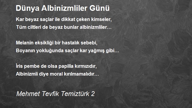 Mehmet Tevfik Temiztürk 2