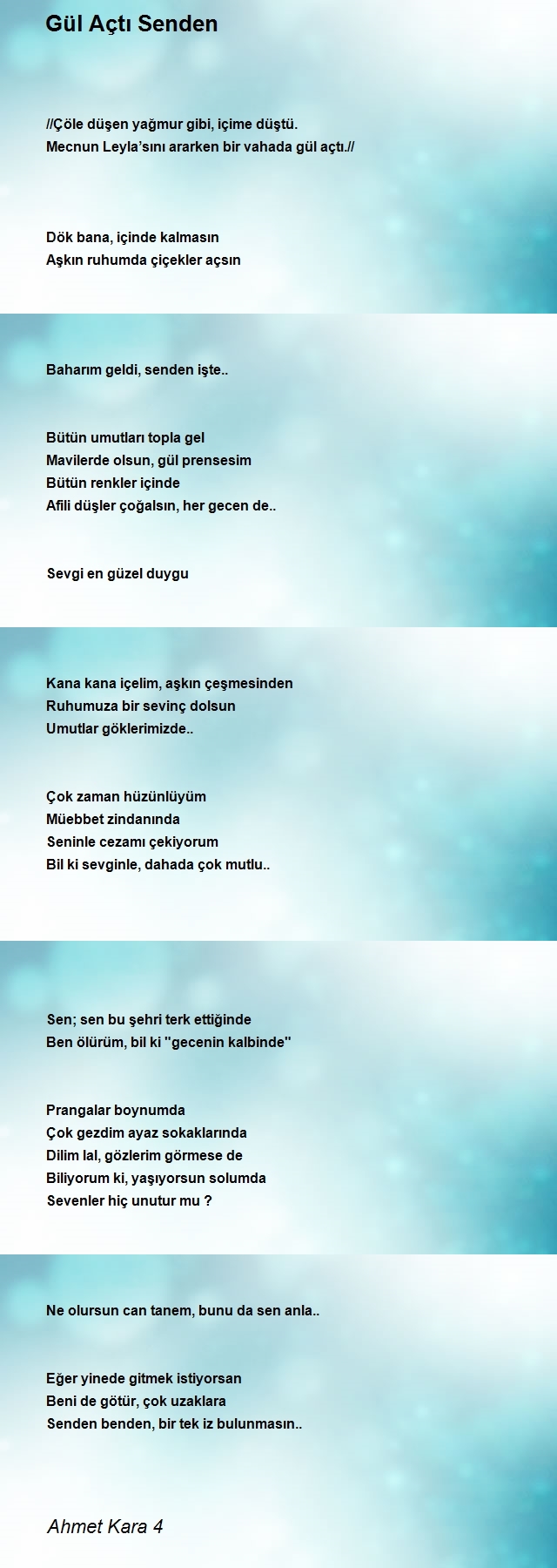 Ahmet Kara 4