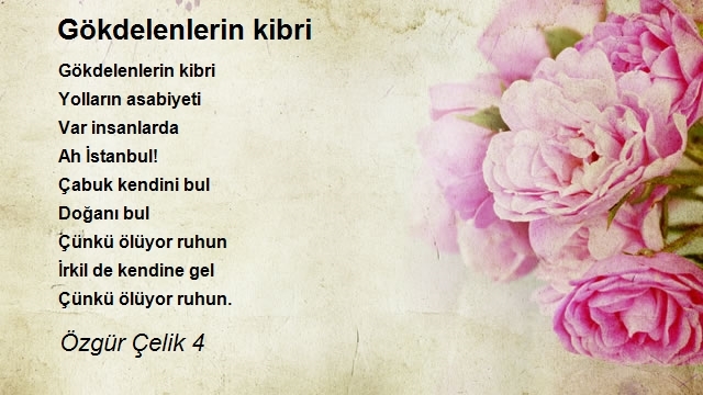 Özgür Çelik 4