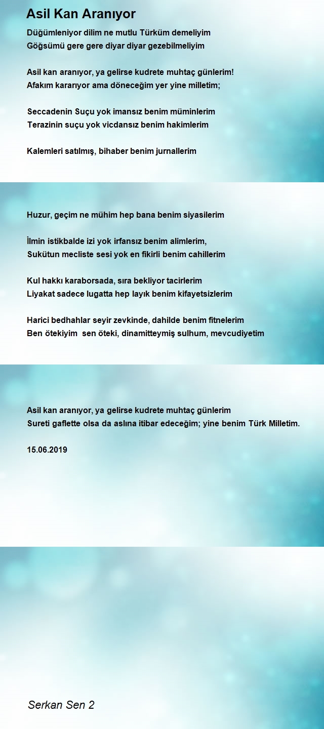 Serkan Sen 2