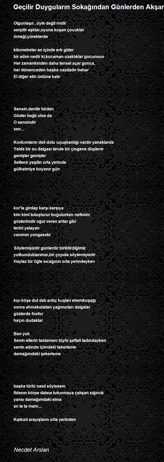 Necdet Arslan