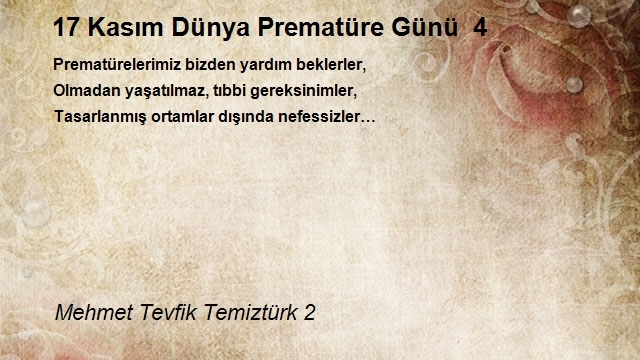 Mehmet Tevfik Temiztürk 2