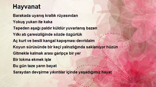 Murat Toprak 2
