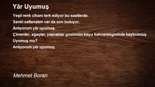 Mehmet Boran