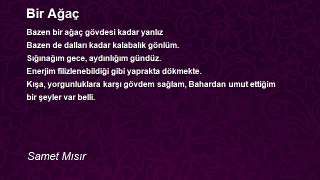 Samet Mısır