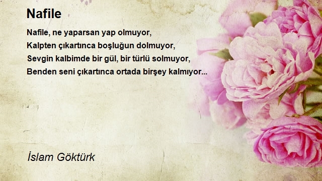 İslam Göktürk