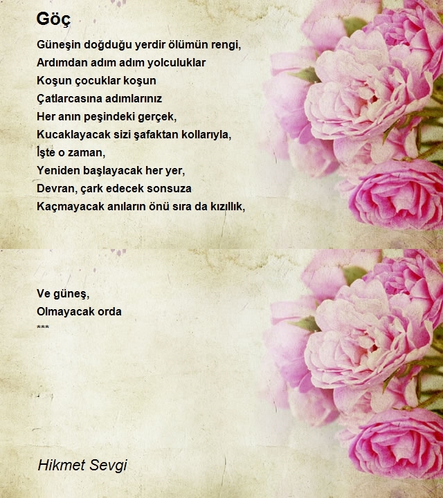 Hikmet Sevgi