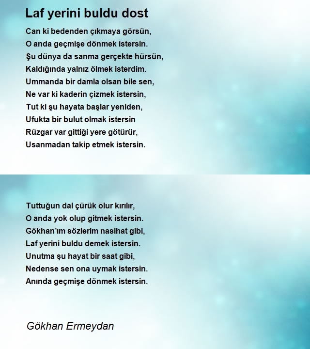 Gökhan Ermeydan 2