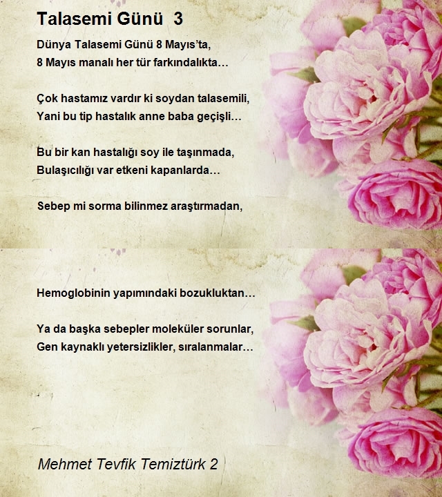 Mehmet Tevfik Temiztürk 2