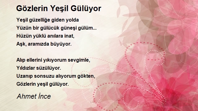 Ahmet İnce