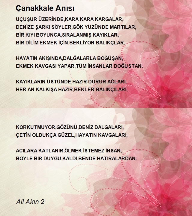 Ali Akın 2