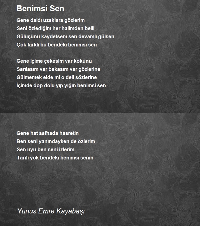 Yunus Emre Kayabaşı