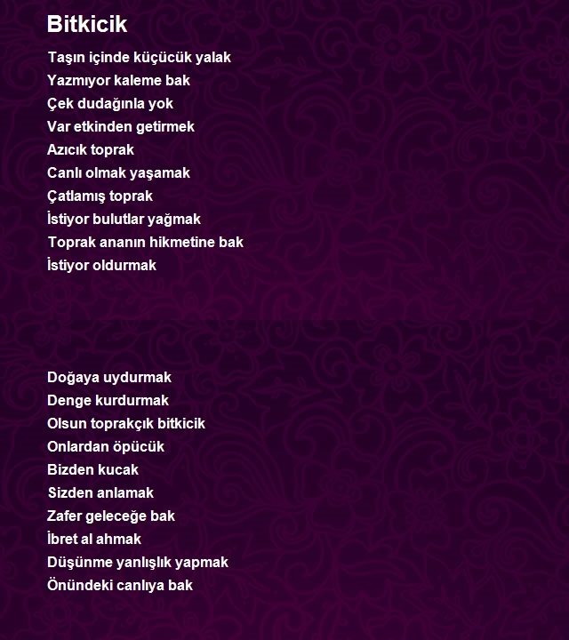 Zafer Sar