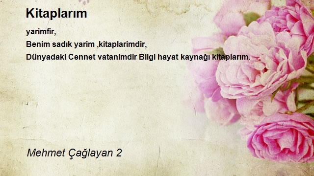 Mehmet Çağlayan 2