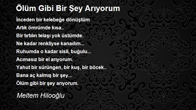 Meltem Hilooğlu
