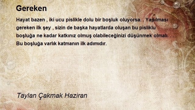 Taylan Çakmak Haziran