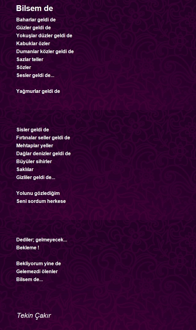 Tekin Çakır