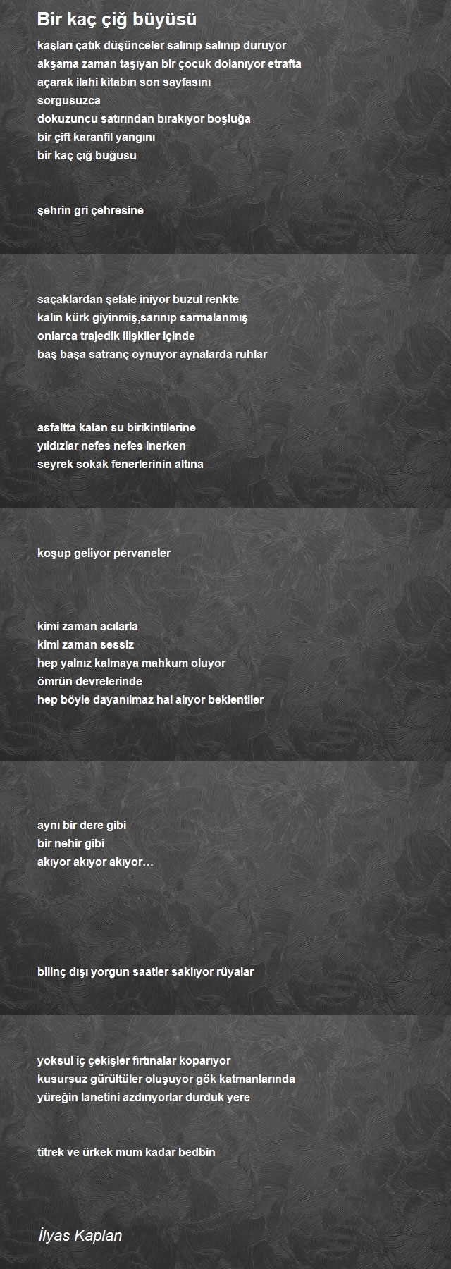 İlyas Kaplan