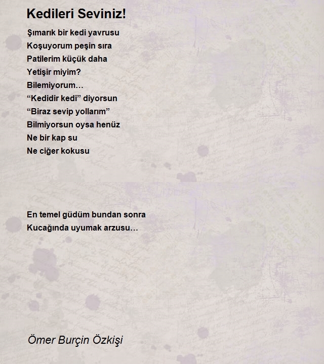 Ömer Burçin Özkişi