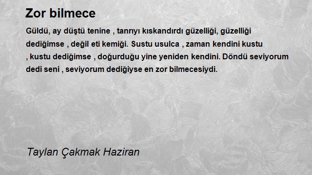 Taylan Çakmak Haziran