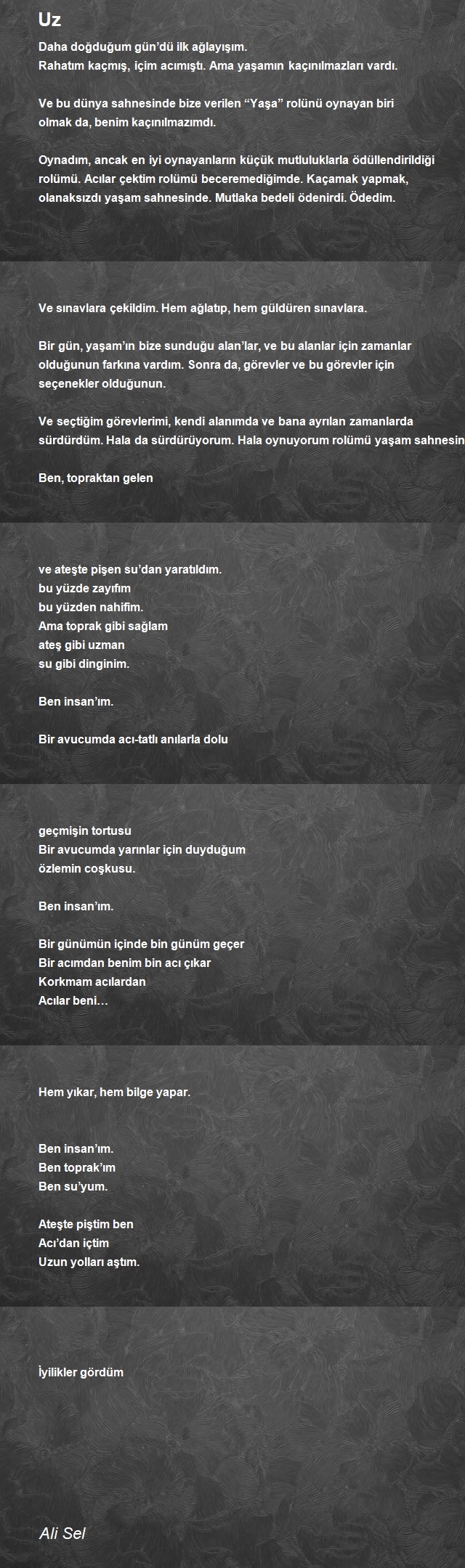 Ali Sel