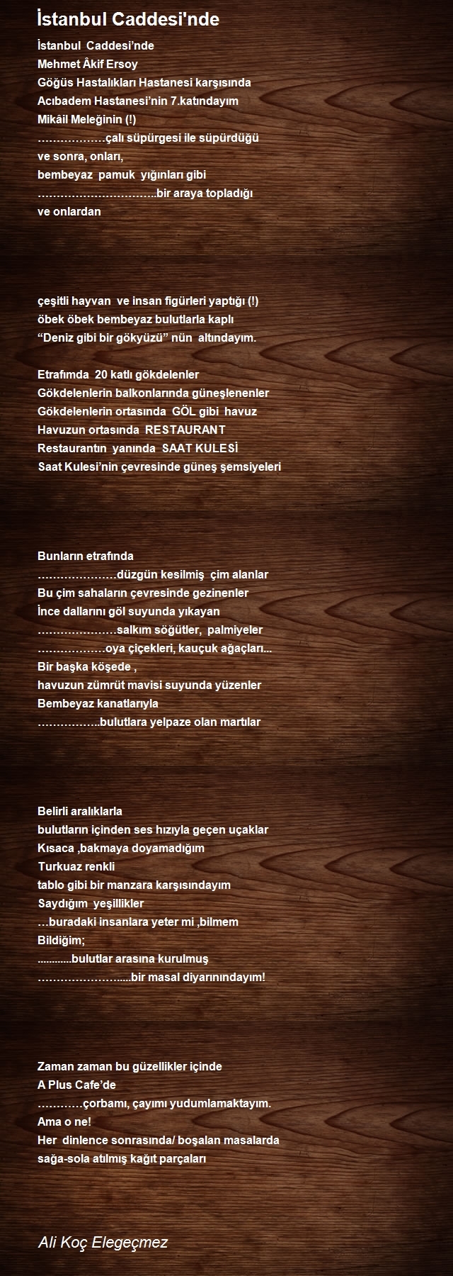 Ali Koç Elegeçmez