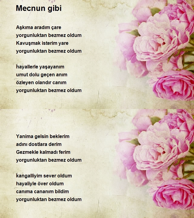 Mustafa Duyar