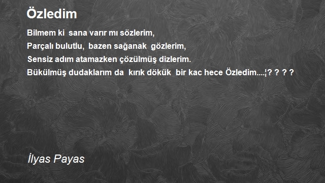 İlyas Payas