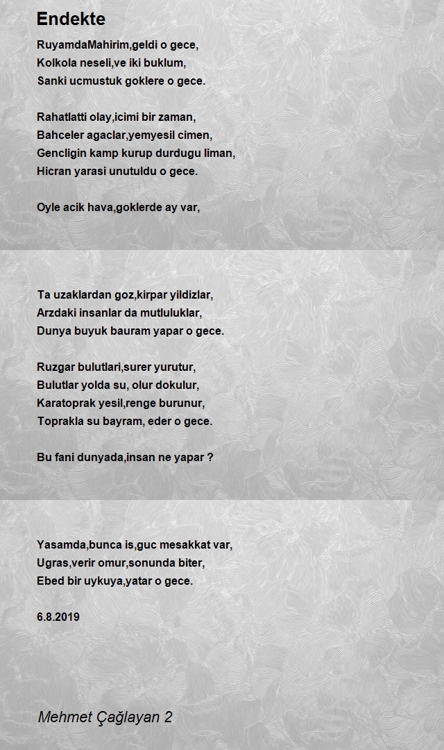 Mehmet Çağlayan 2