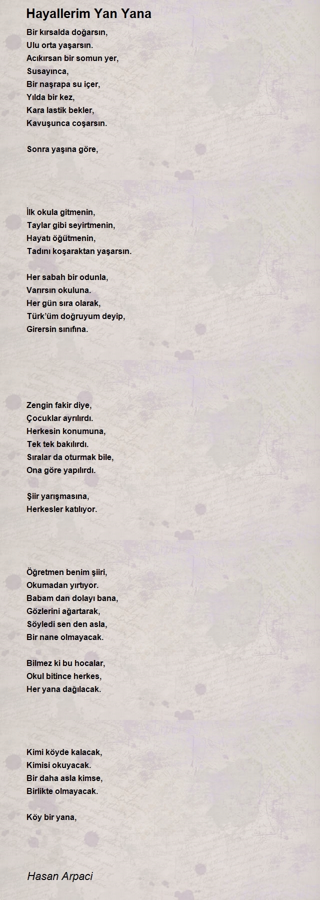 Hasan Arpaci